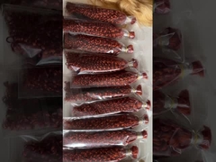 Sıcak Satılan Brezilya Bakire İnsan Saçı Toplu