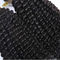 Kıvırcık Remy Brezilya İnsan Saçları Paketi Afro Kinky Doku